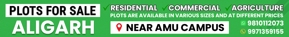 plot for sale ali nagar