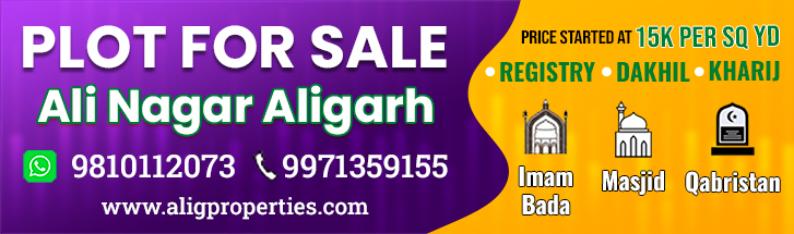 plot for sale ali nagar